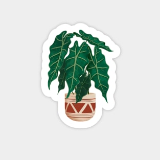 Alocasia Polly Plant Illustration Sticker